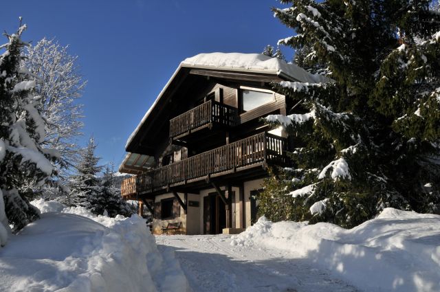 Chalet de luxe vue panoramique sur le Mont Blanc
