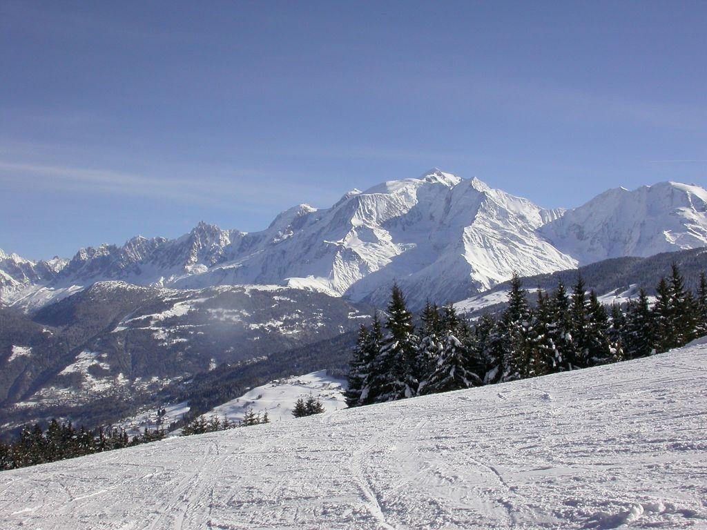 Chalet de luxe vue panoramique sur le Mont Blanc