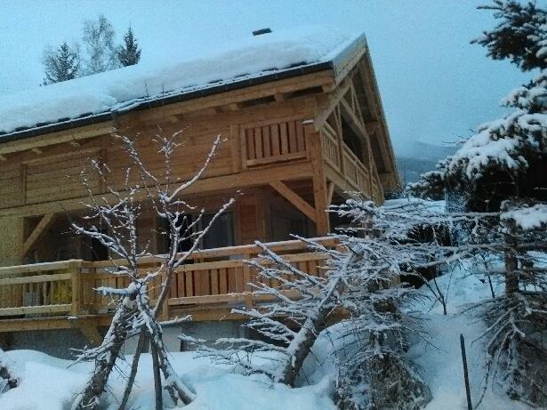 Les chamois