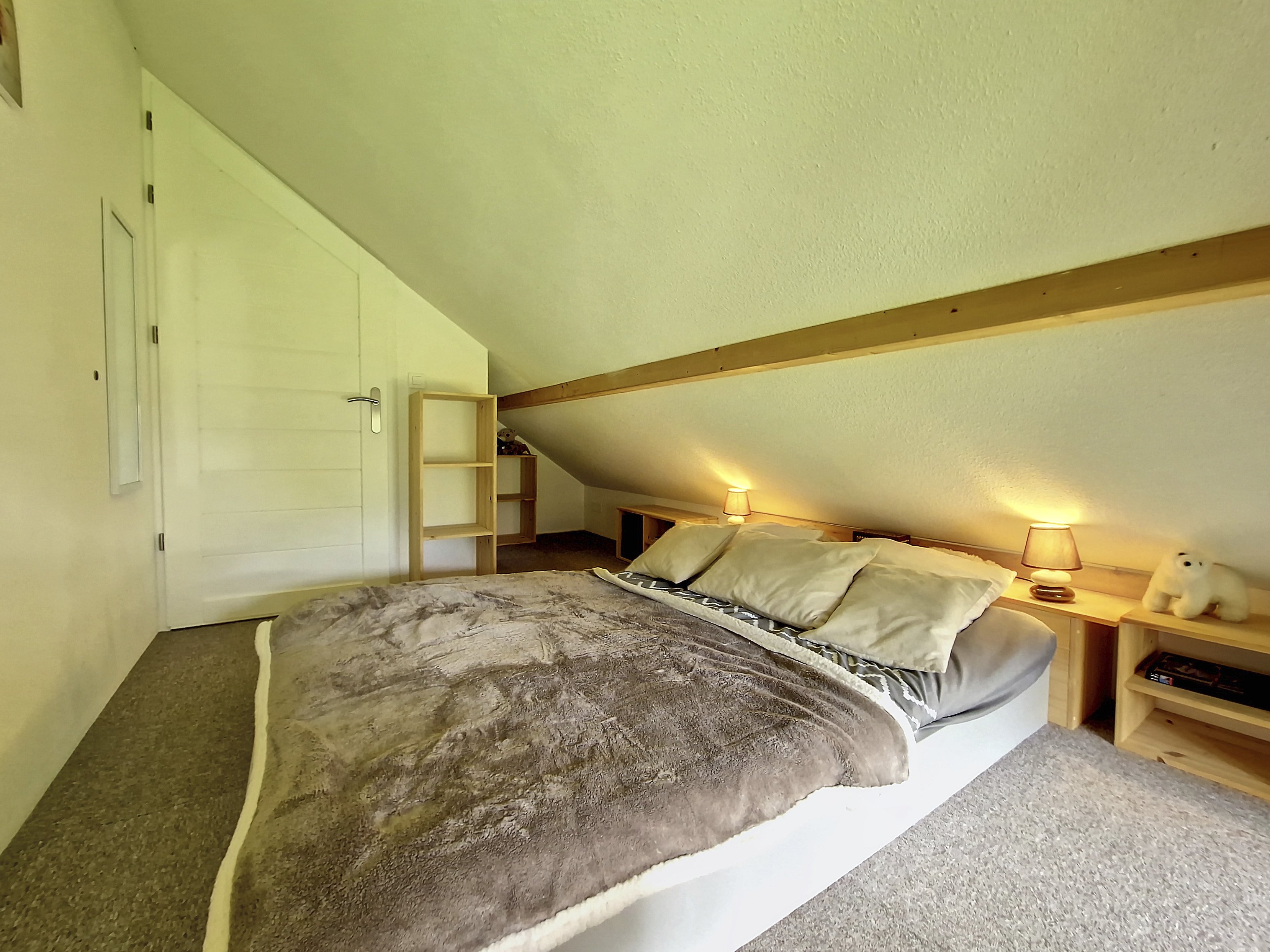 APPA CHAMBONNETTE B22 - Vallouise : grand appartement lumineux en duplex