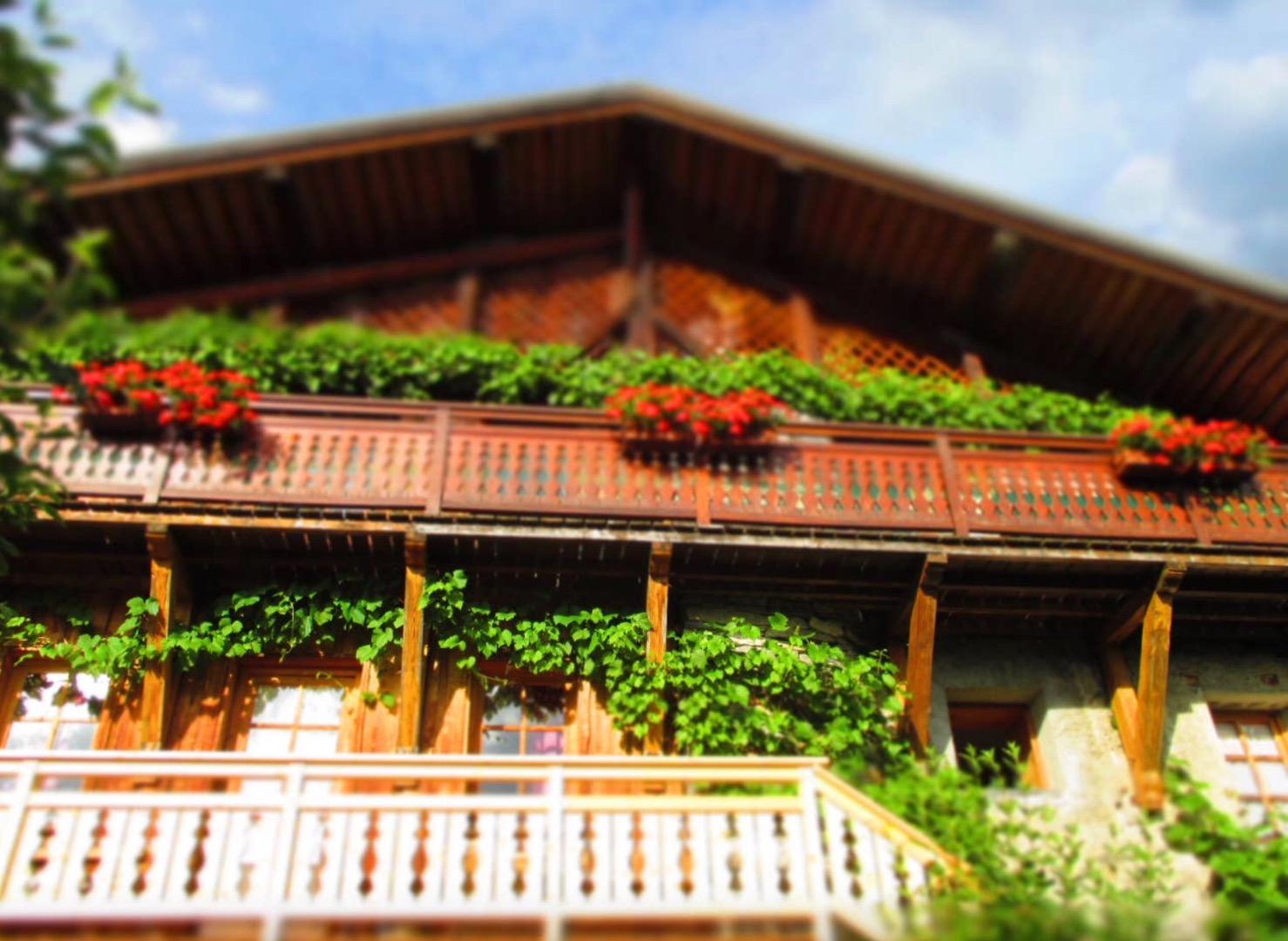 de famille cosy - 3 vallées //  Courchevel - Meribel //                                 Champagny en Vanoise // Pralognan en Vanoise 