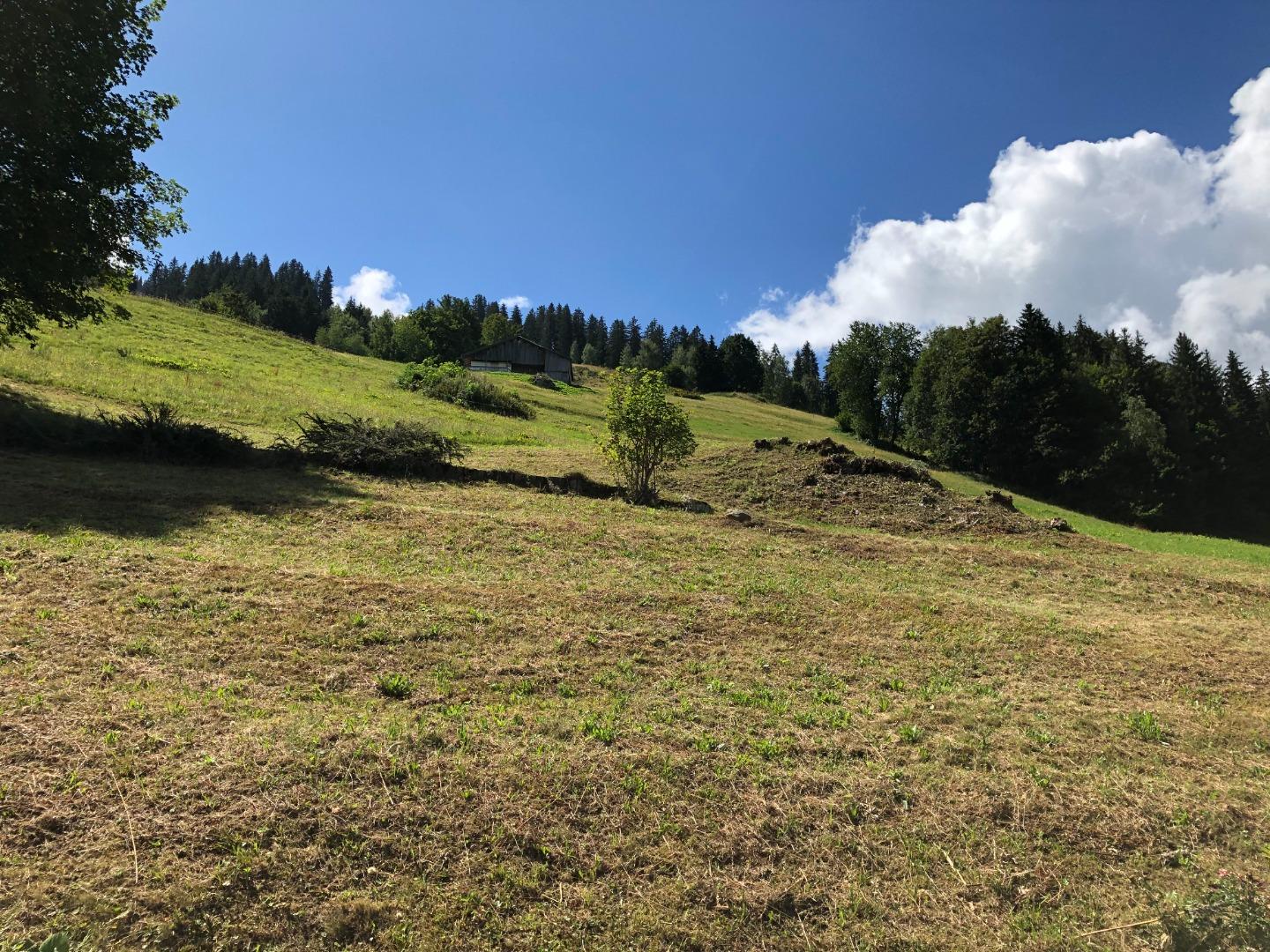 Chalet Les Envers
