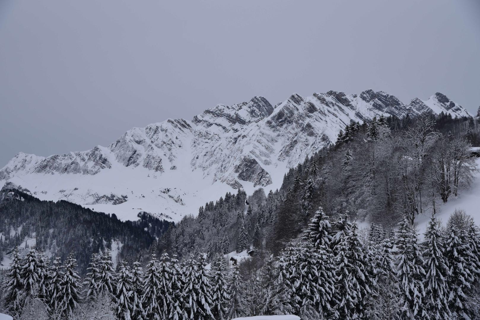 Chalet "Le Grenier à Neige" sur les pistes