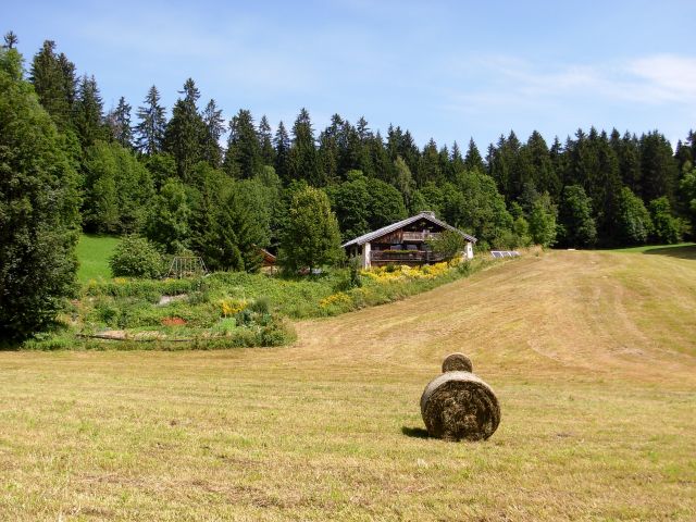 Chalet devant le bois