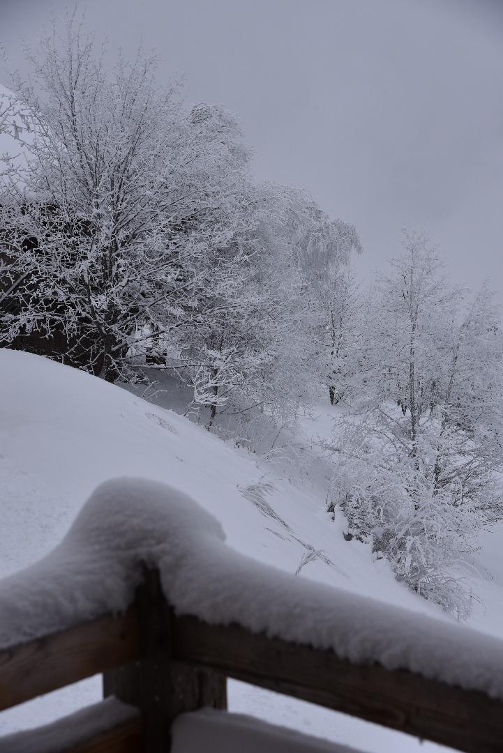 Les Castors - Domaine de l'Alpes d'Huez