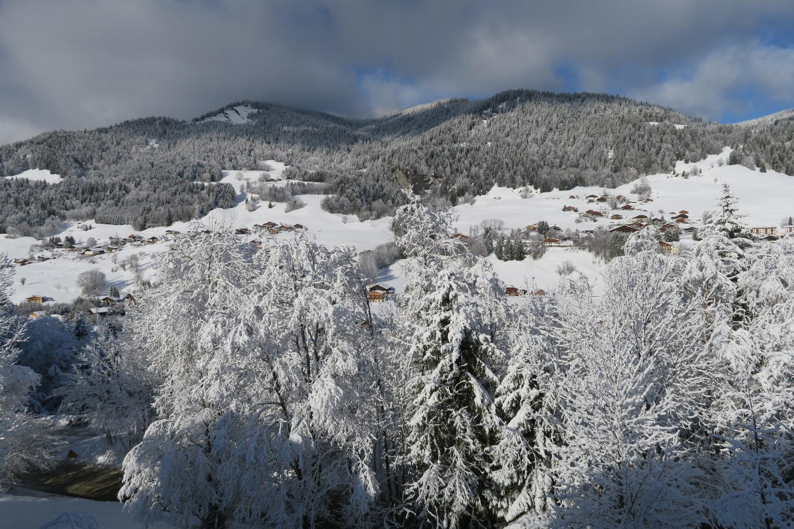 Chalet Génépi