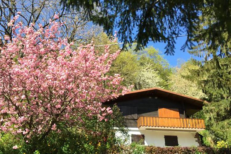chalet entre VOSGES et ALSACE  au calme et belle vue