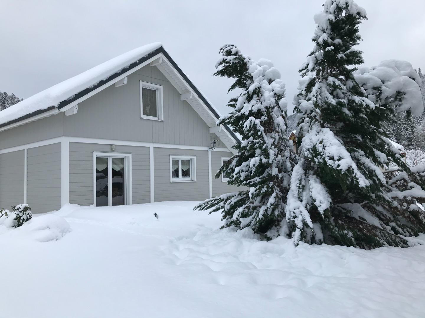 Vue sous la neige