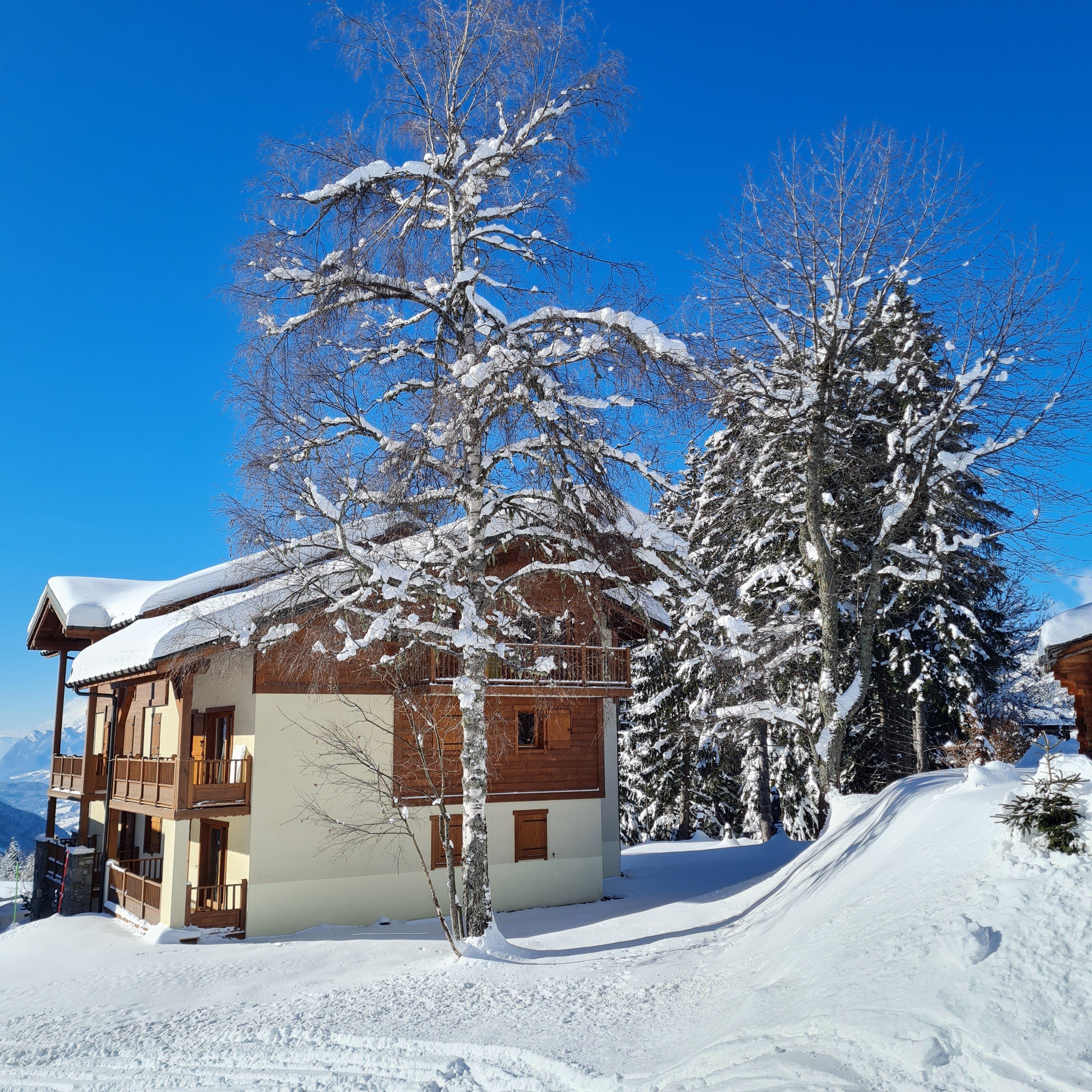  - Les Oursons - Résidence Chalet de Standing au pied des pistes 