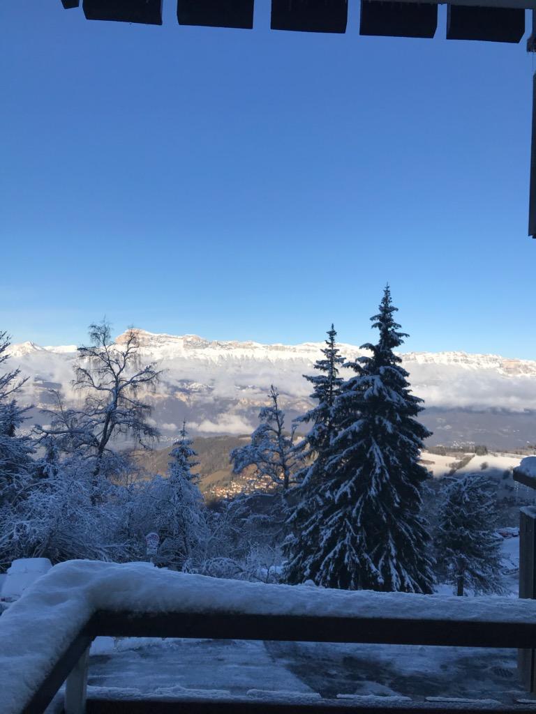 Appartement Studio Les Edelweiss - Prapoutel