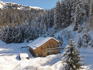 Luxueux 4* Sauna Jacuzzi près des pistes espace privé