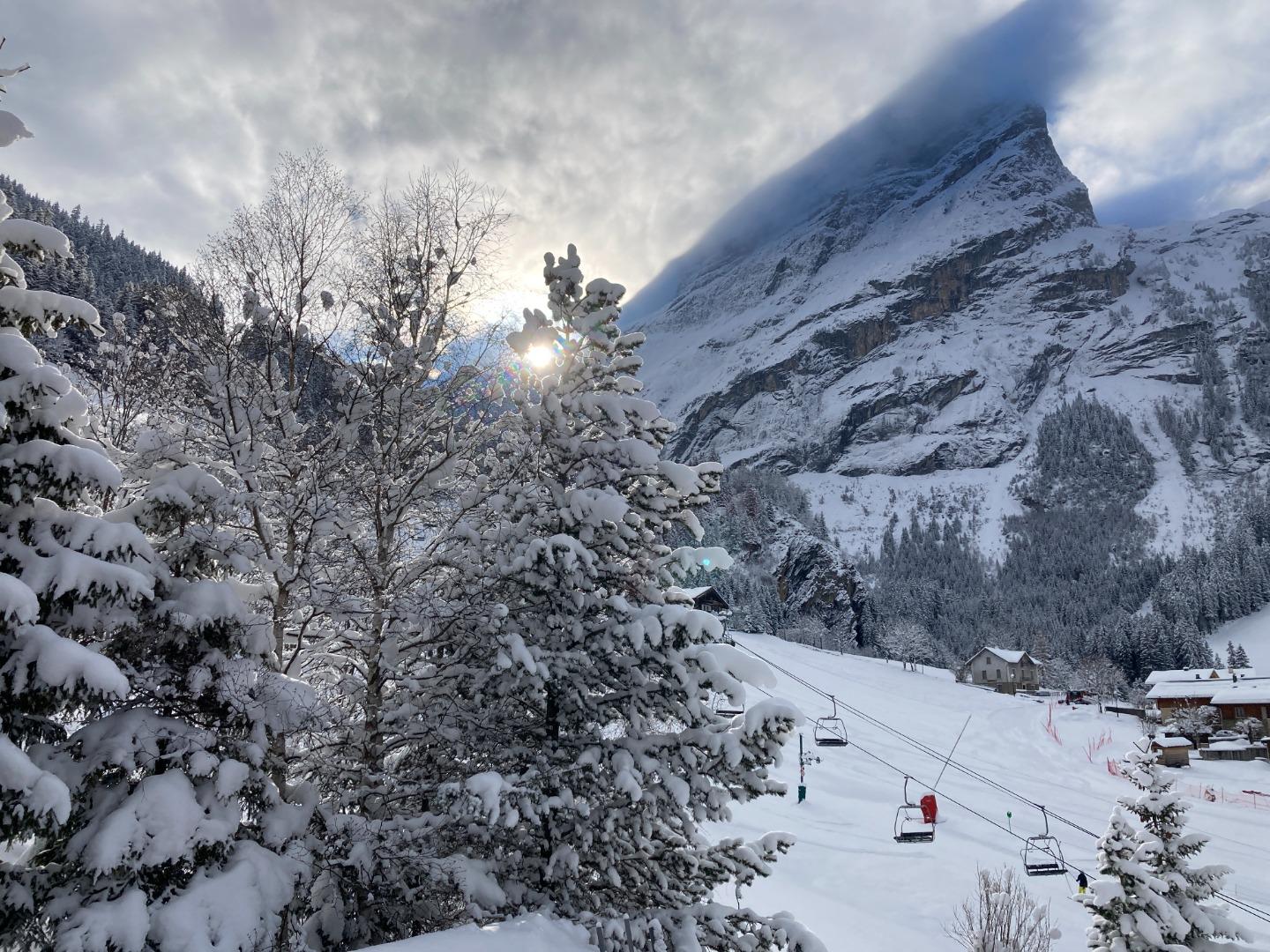 Chalet Le Biloko 18 pers aux pieds des pistes