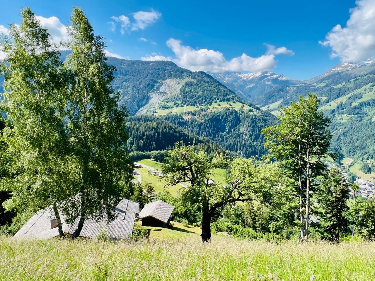 Chalet en Beaufortain