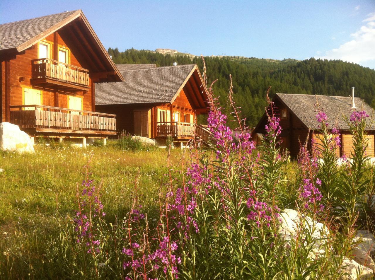 Grand chalet en bois avec vue splendide