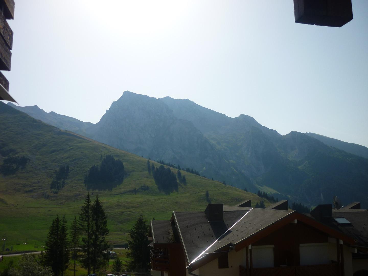 le paysage en été
ETE