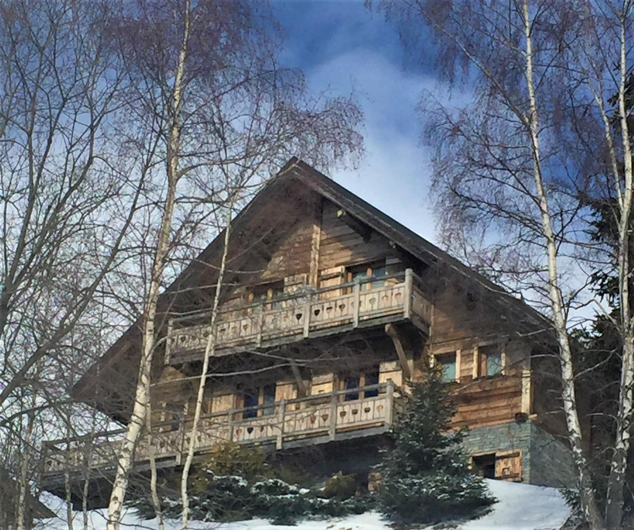  T3 55 M2 dans chalet authentique