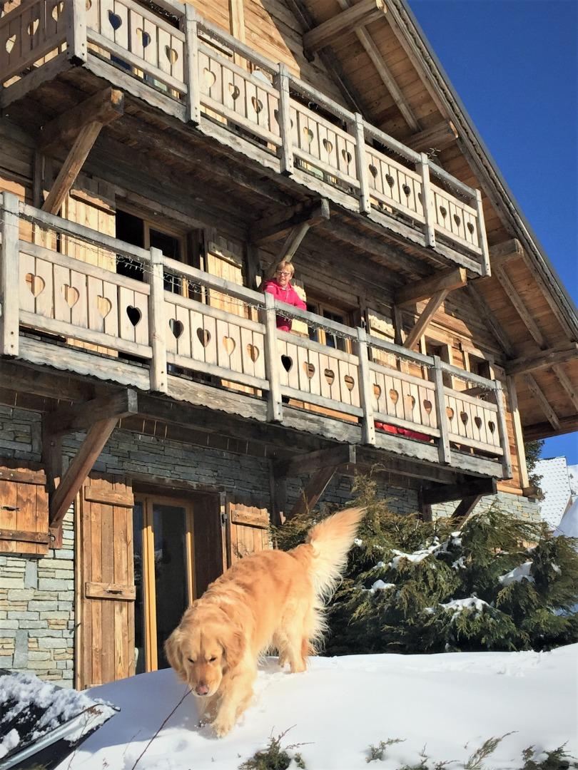  T3 55 M2 dans chalet authentique