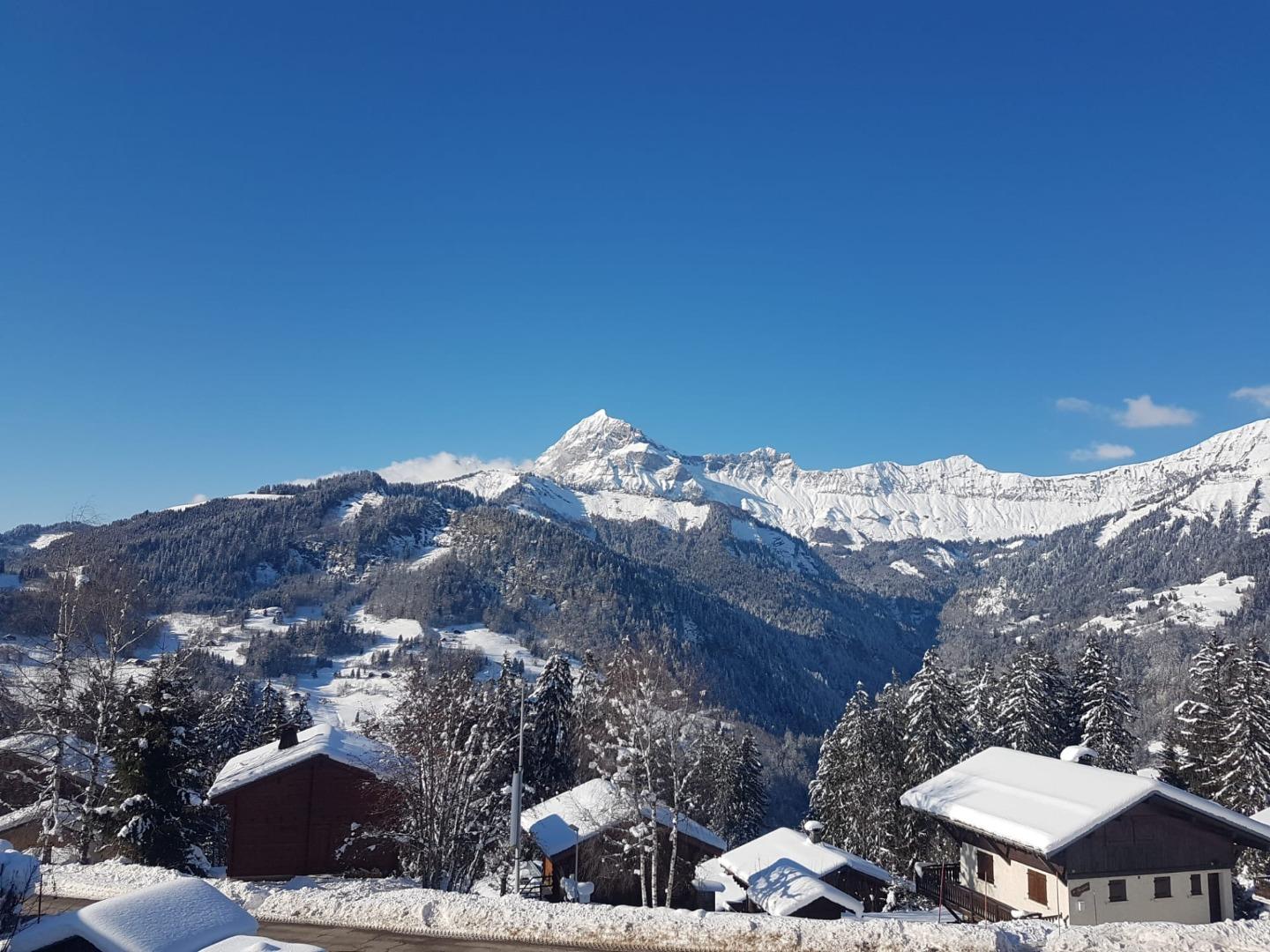 Chalet L'échappée Belle - 12 personnes