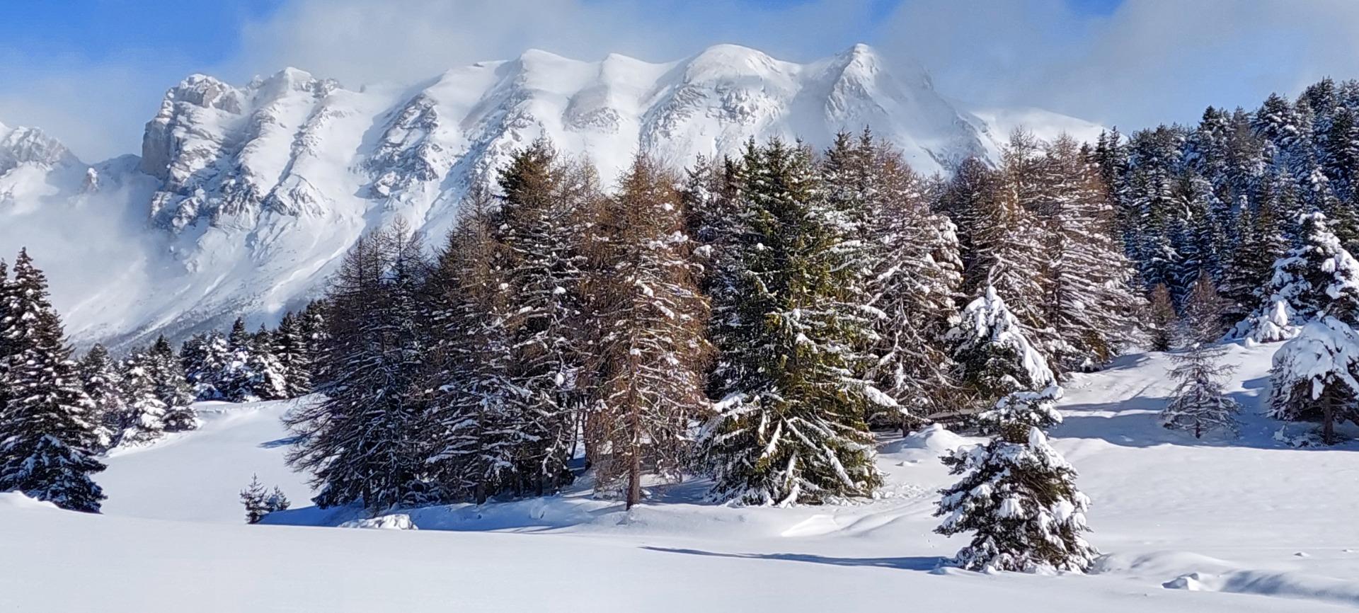 vue de la terrasse l'hiver