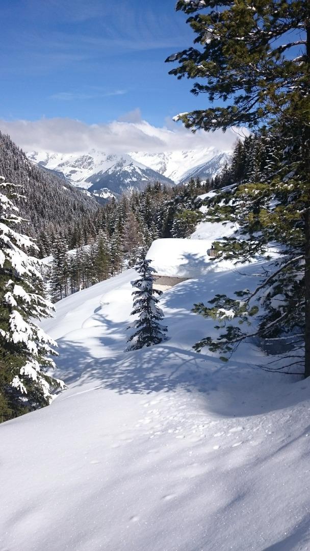 Le Refuge du Loup Blanc avec Garage