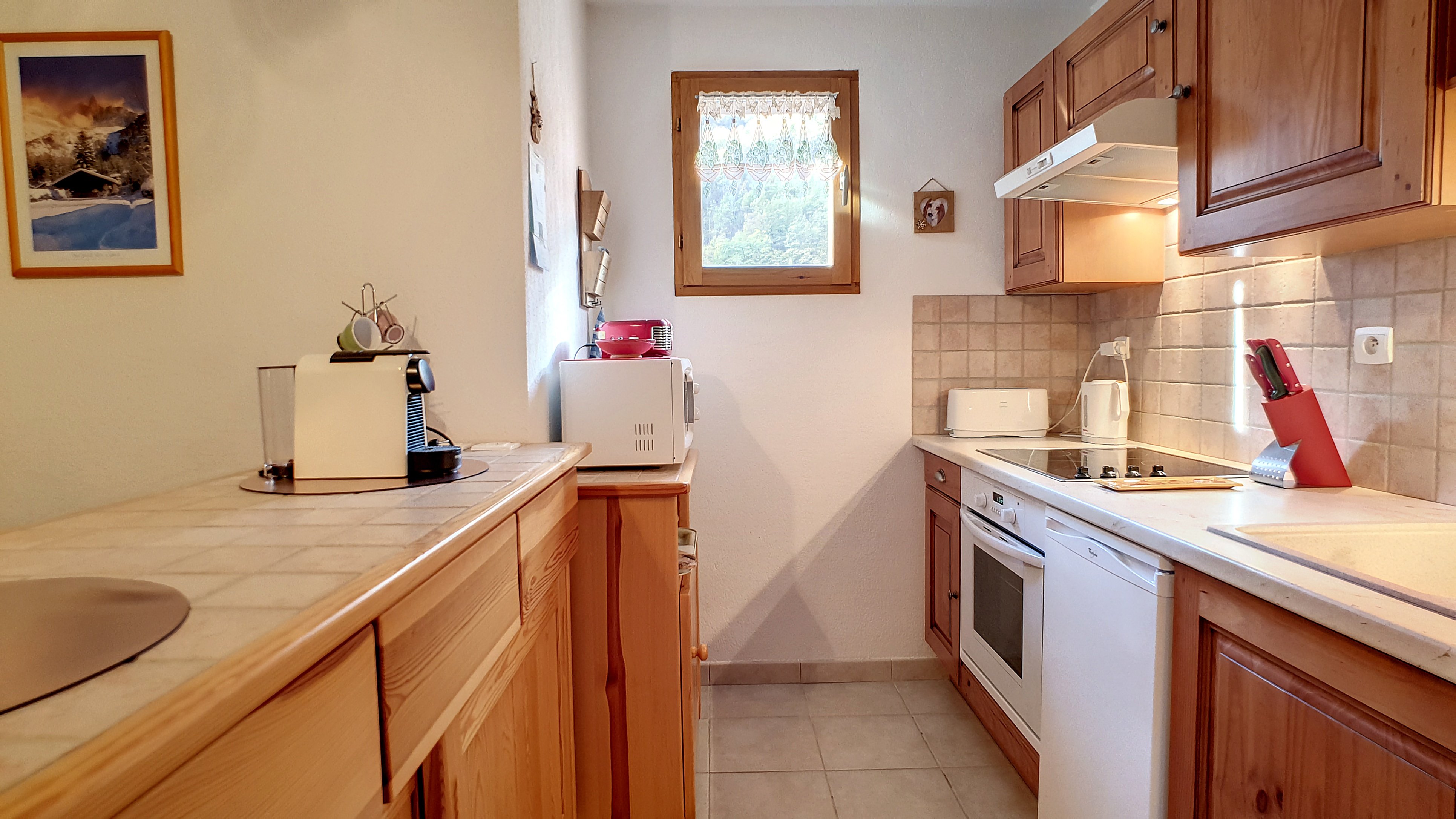 APPA EYCHAUDA 7 - PELVOUX - Aux pieds des pistes de ski de la station de Pelvoux