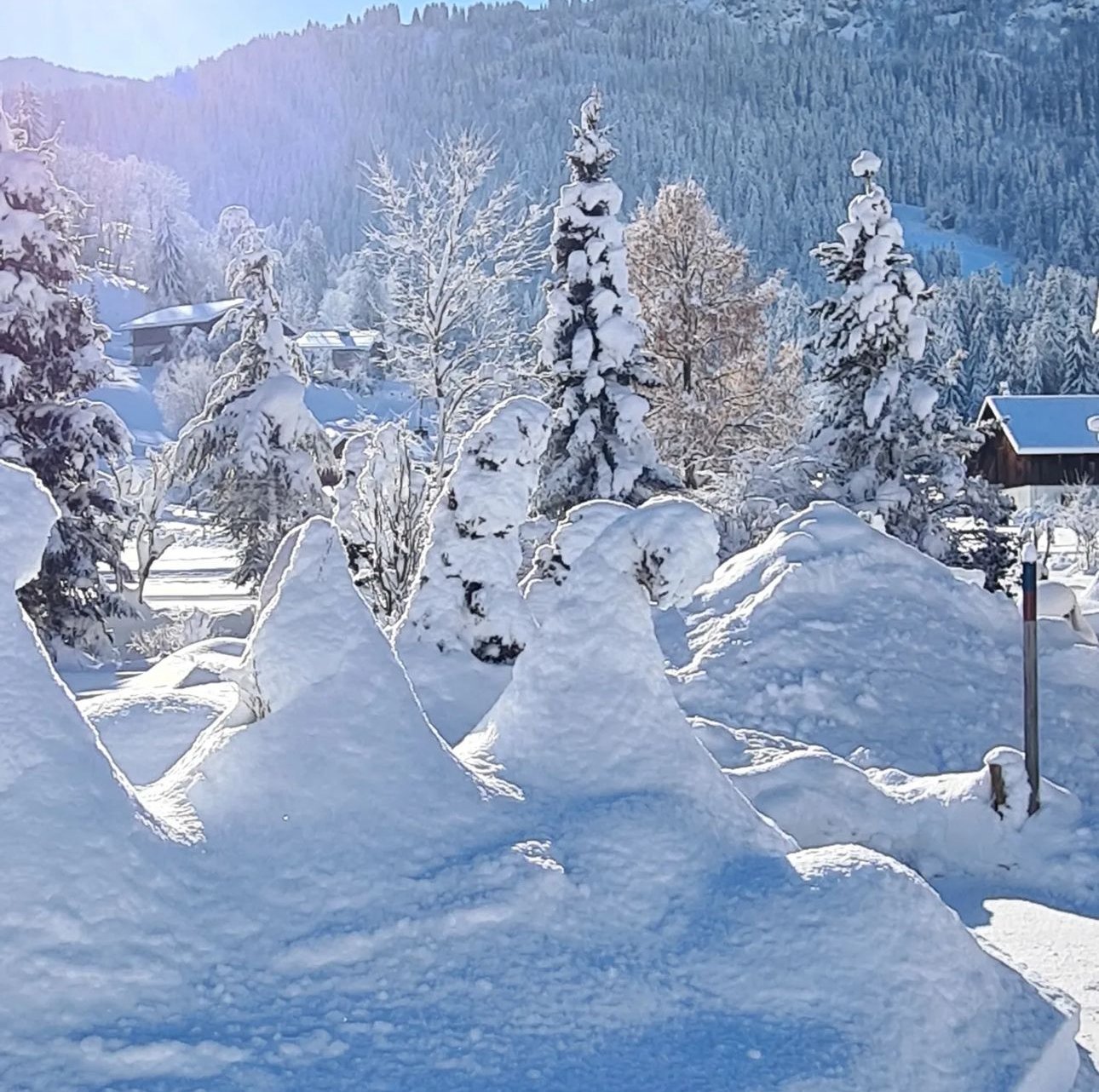 Chalet des 3 petites sorcieres Chalet classé 4 étoiles