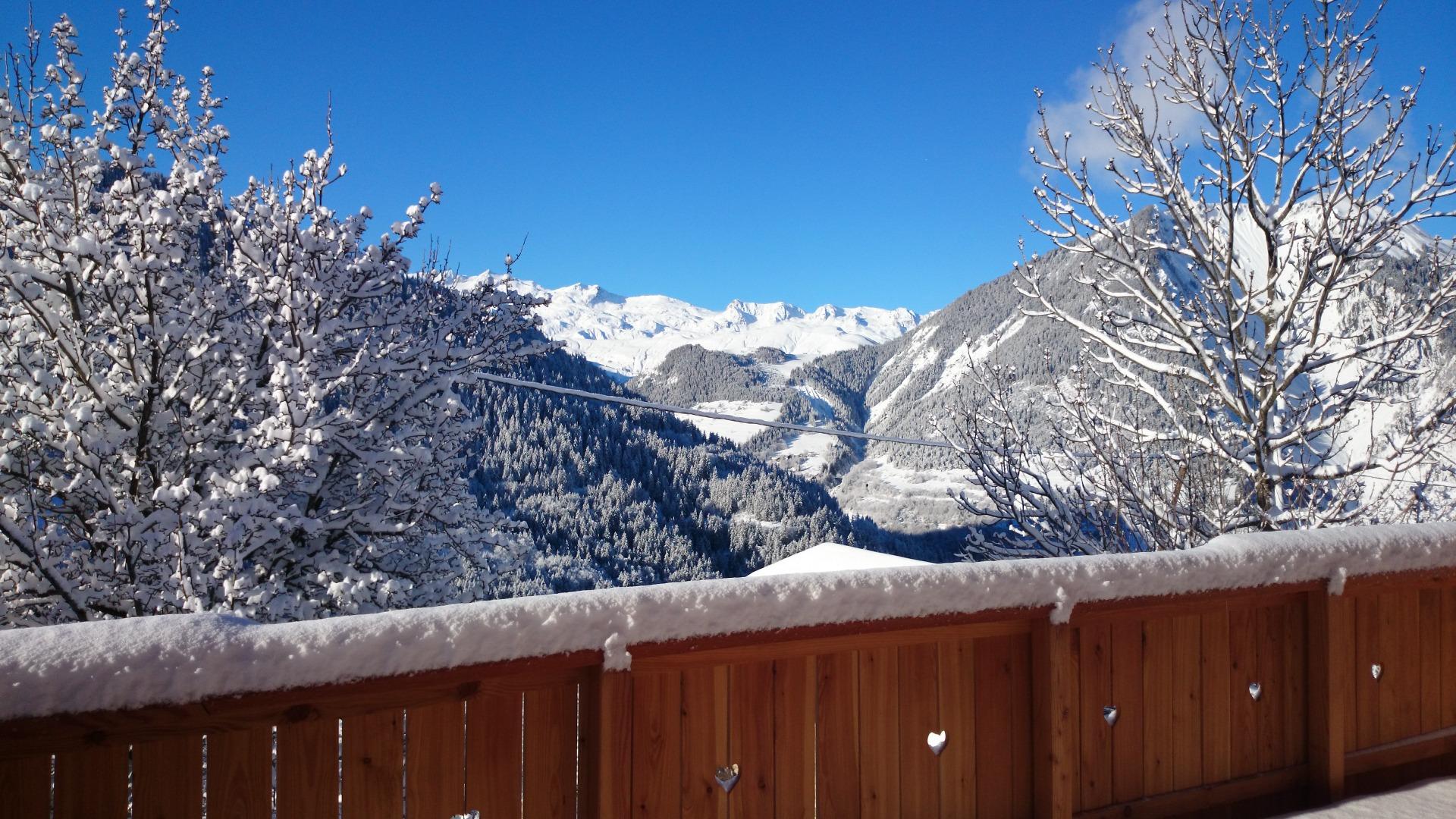 Au coeur des aiguilles