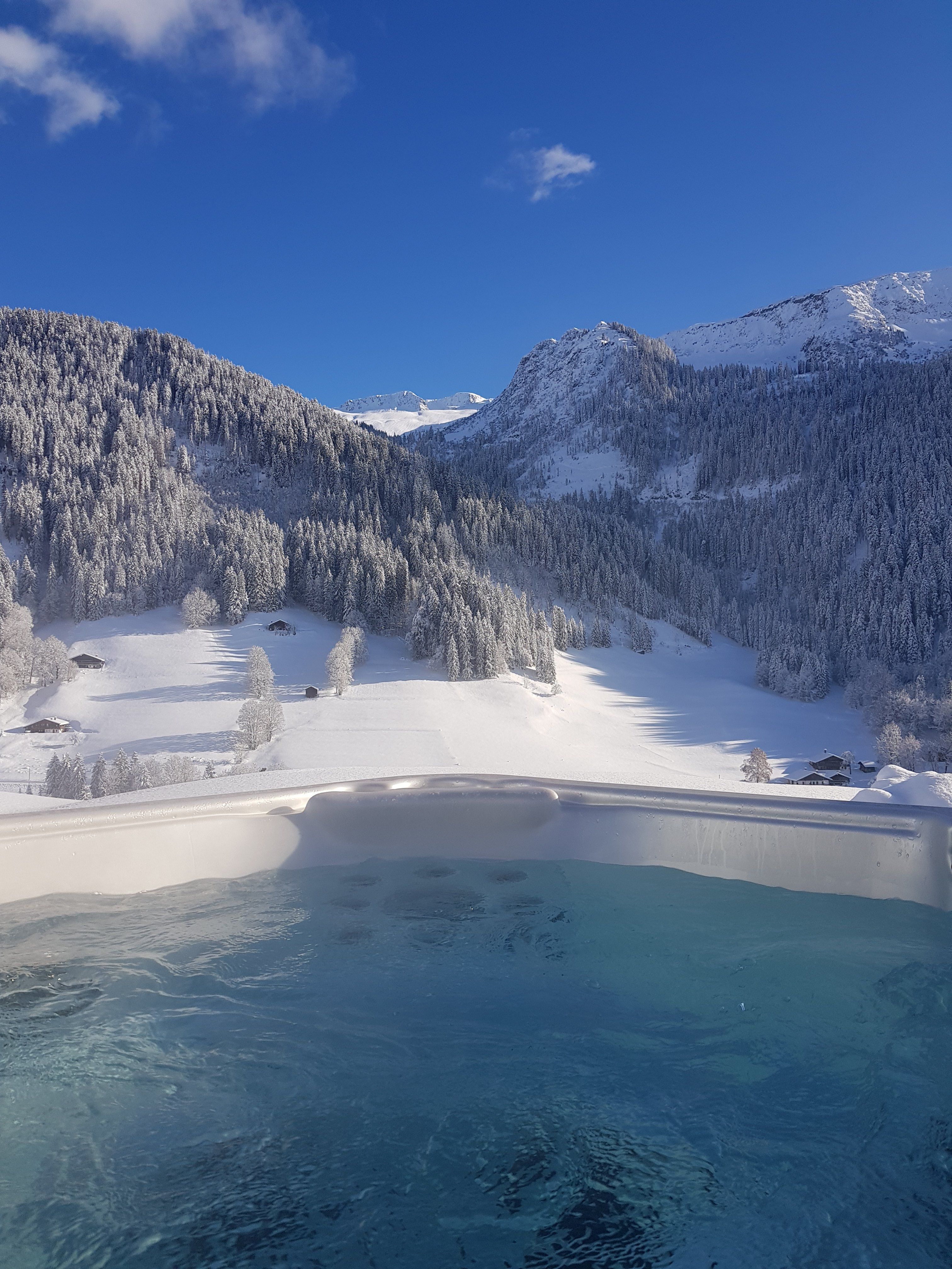 Une vraie pépite pleine d'élégance avec spa/sauna et ski à 3 kms 