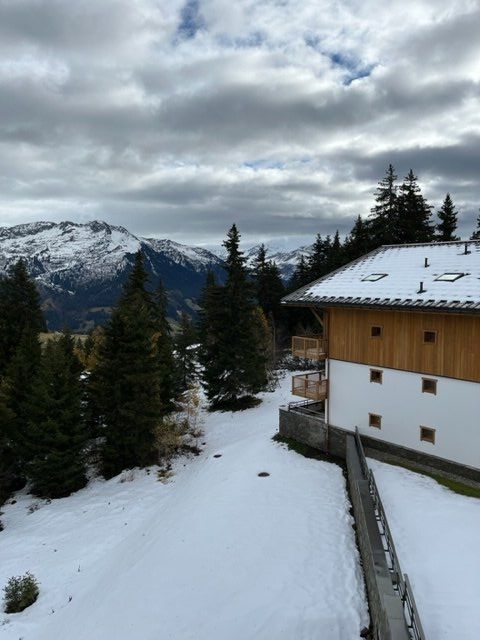 RESIDENCE AKASHA FORET LES SAISIES