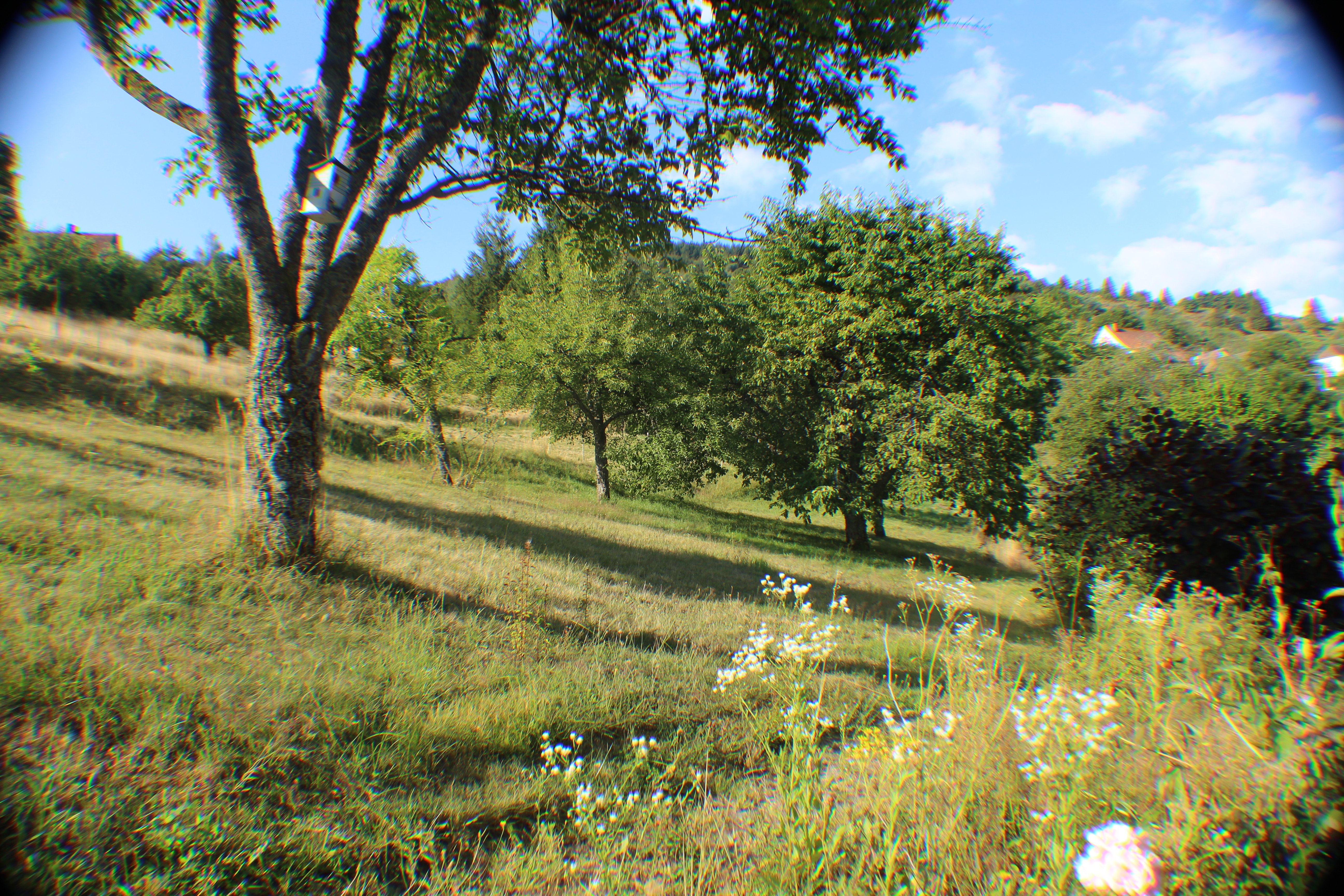 Domaine de la Charrière sur 63 ares - 4 à 8 pers