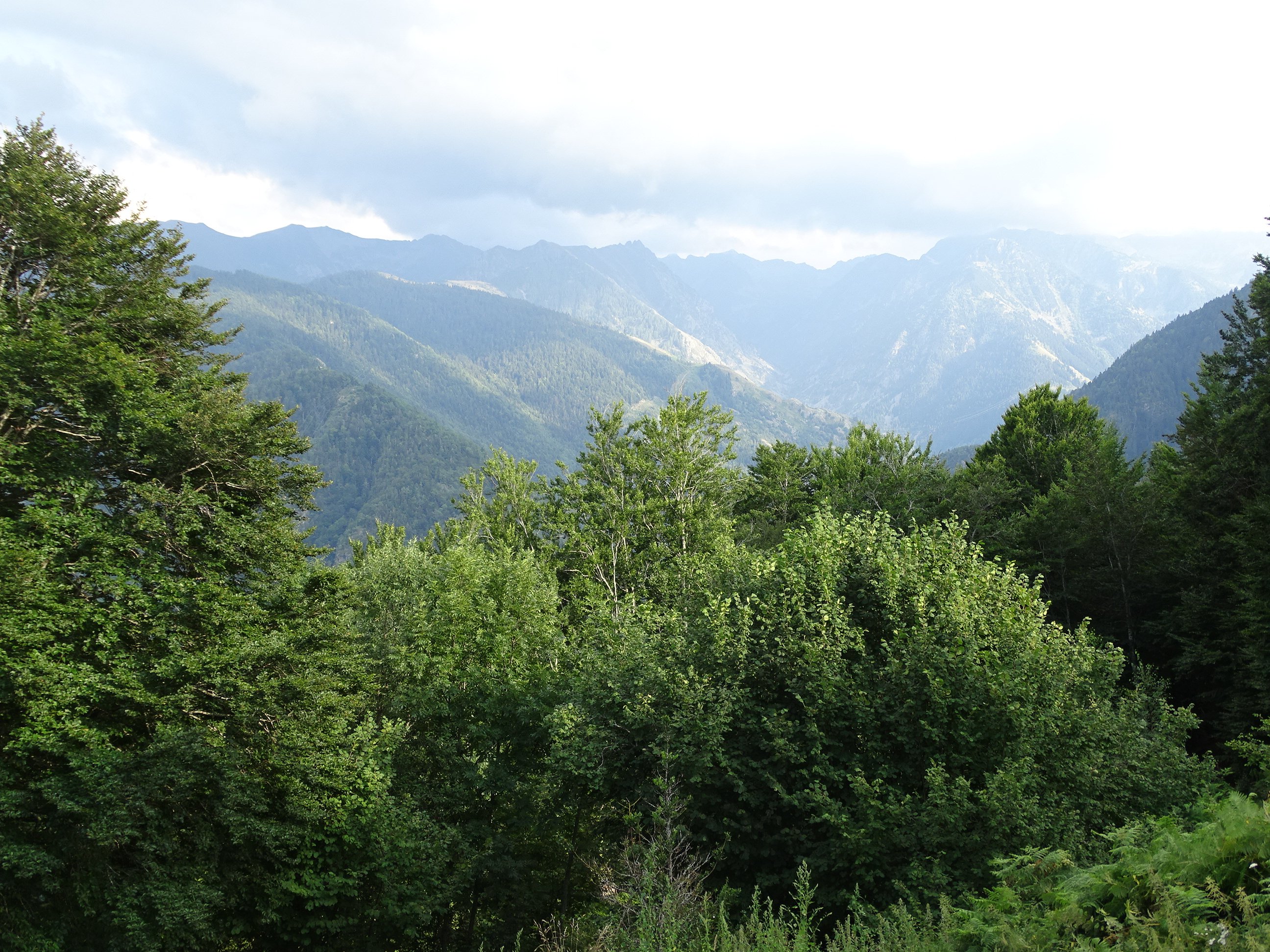 Appartement 14 personnes