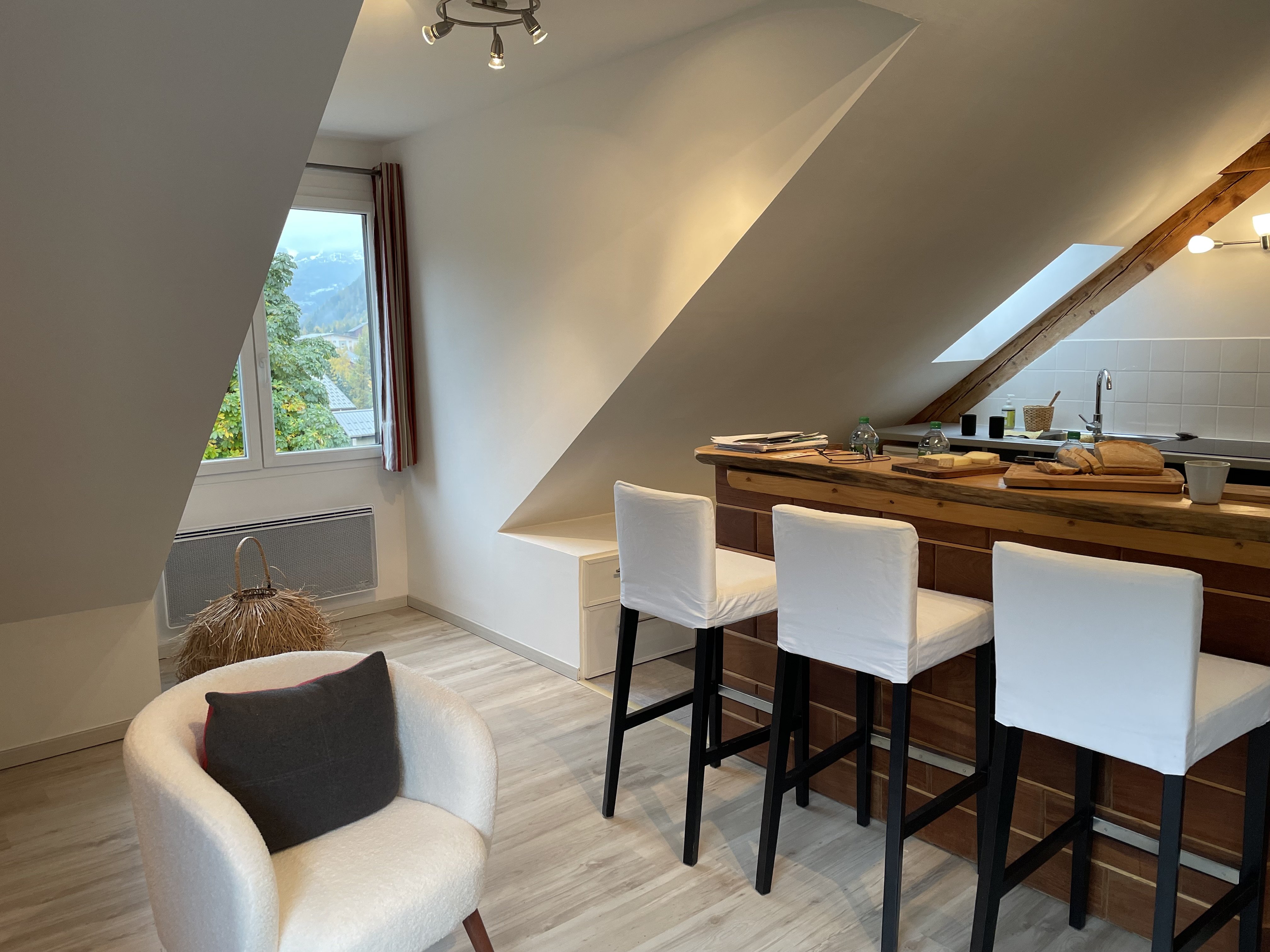 Le Grand Pelvoux, Studio PARC NATIONAL DES ECRINS ( PELVOUX-VALLOUISE)