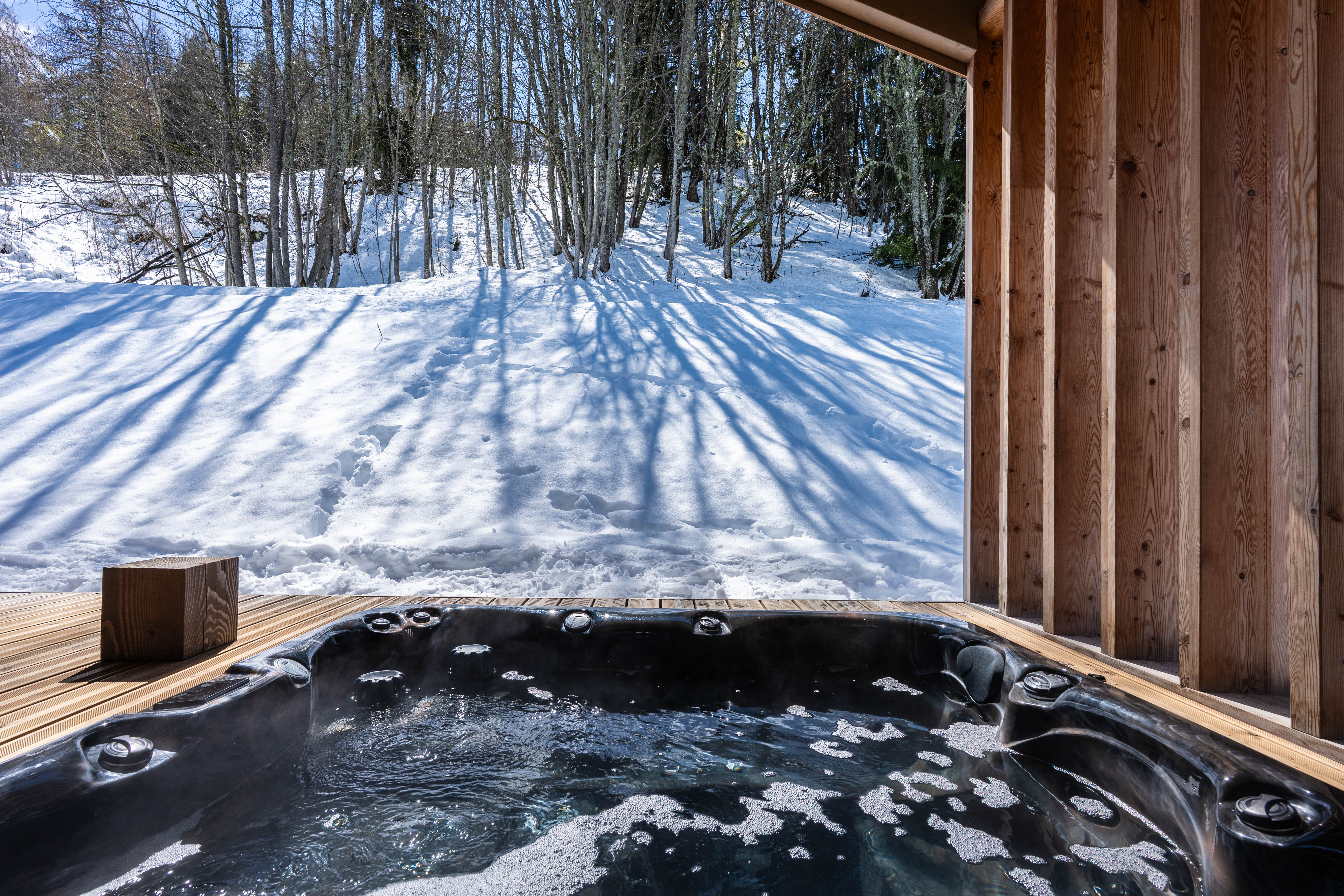 chalet BOREAL