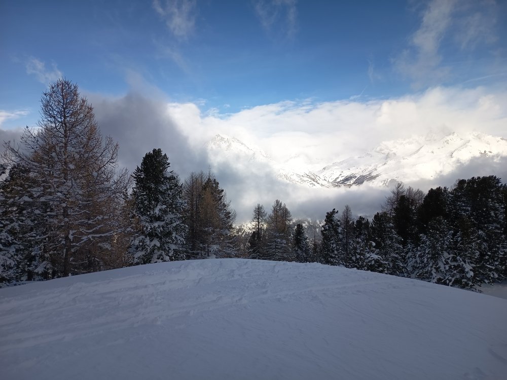 Les arolles
