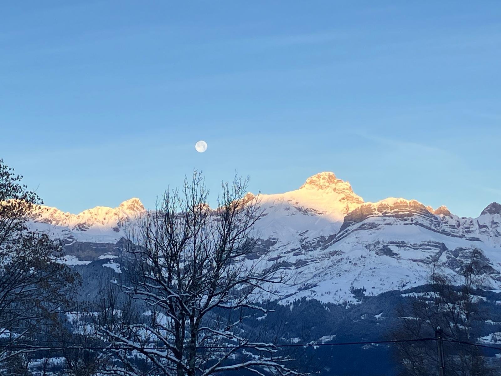 Mont Rose
