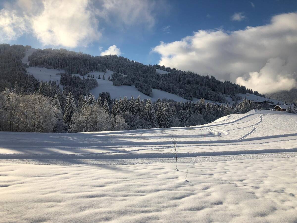 Chalet La Pioleute Megève