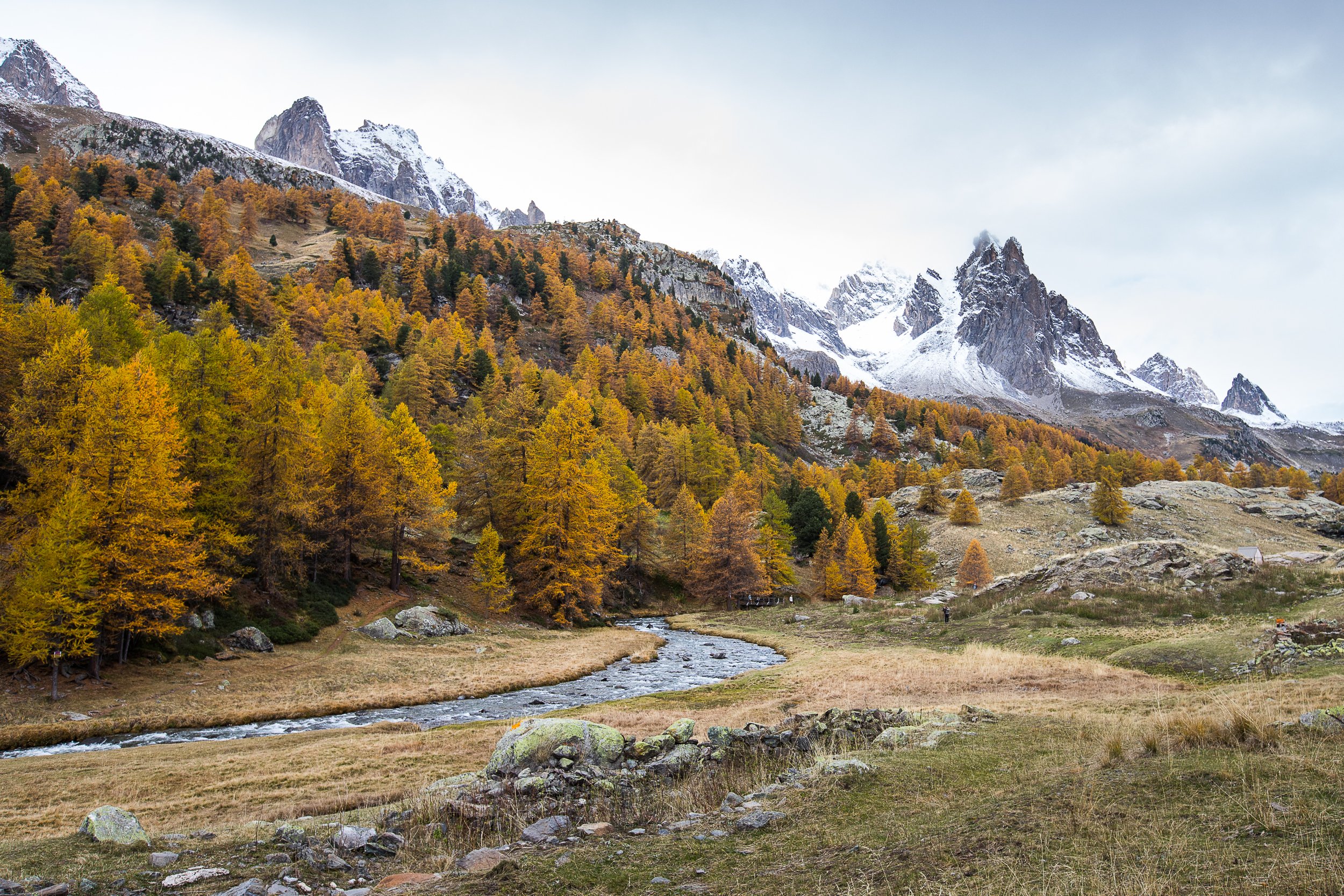 Chambre chez moi ter