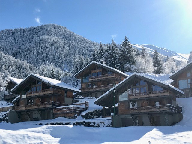 Chalet la carline