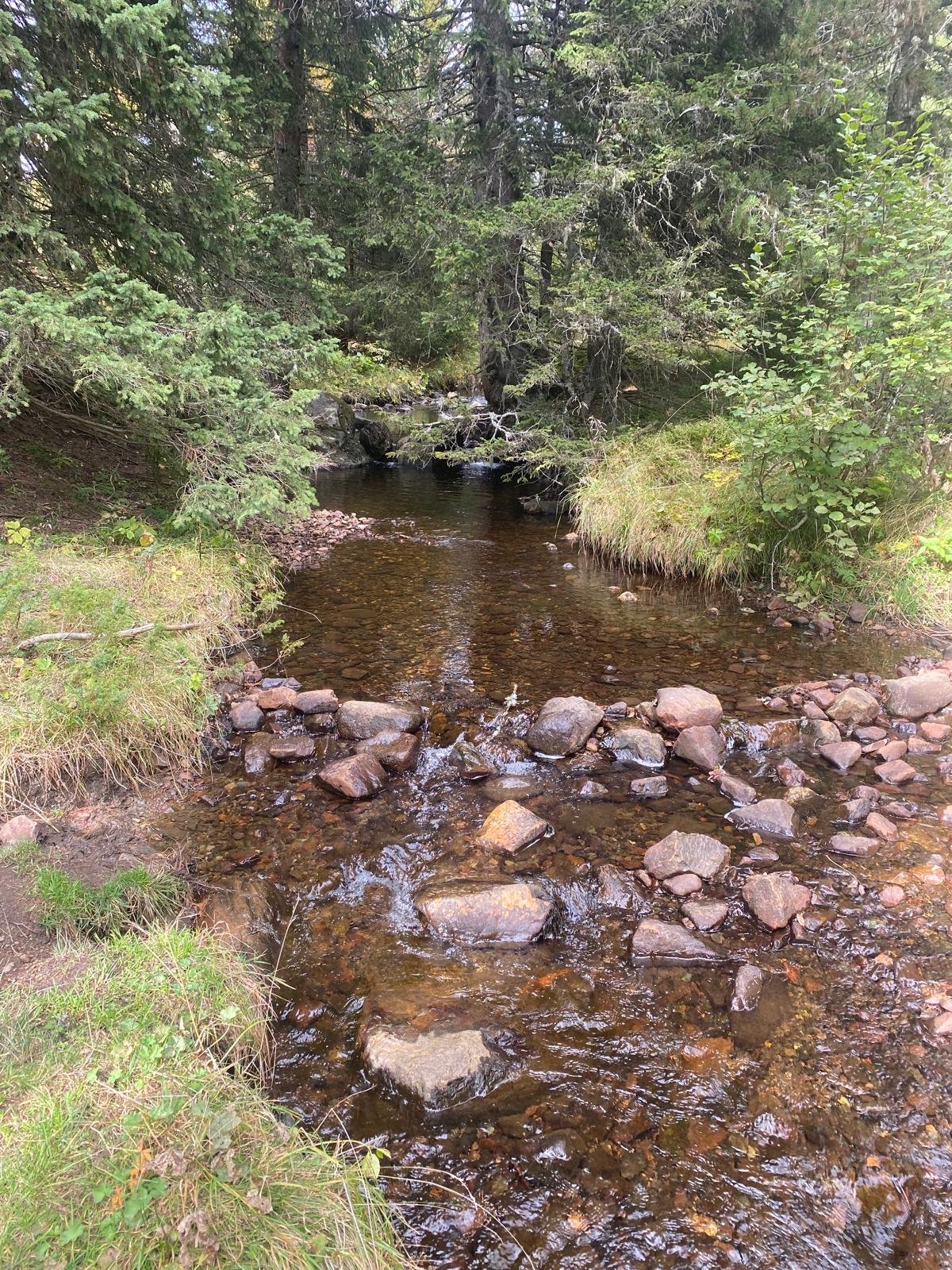 Le refuch