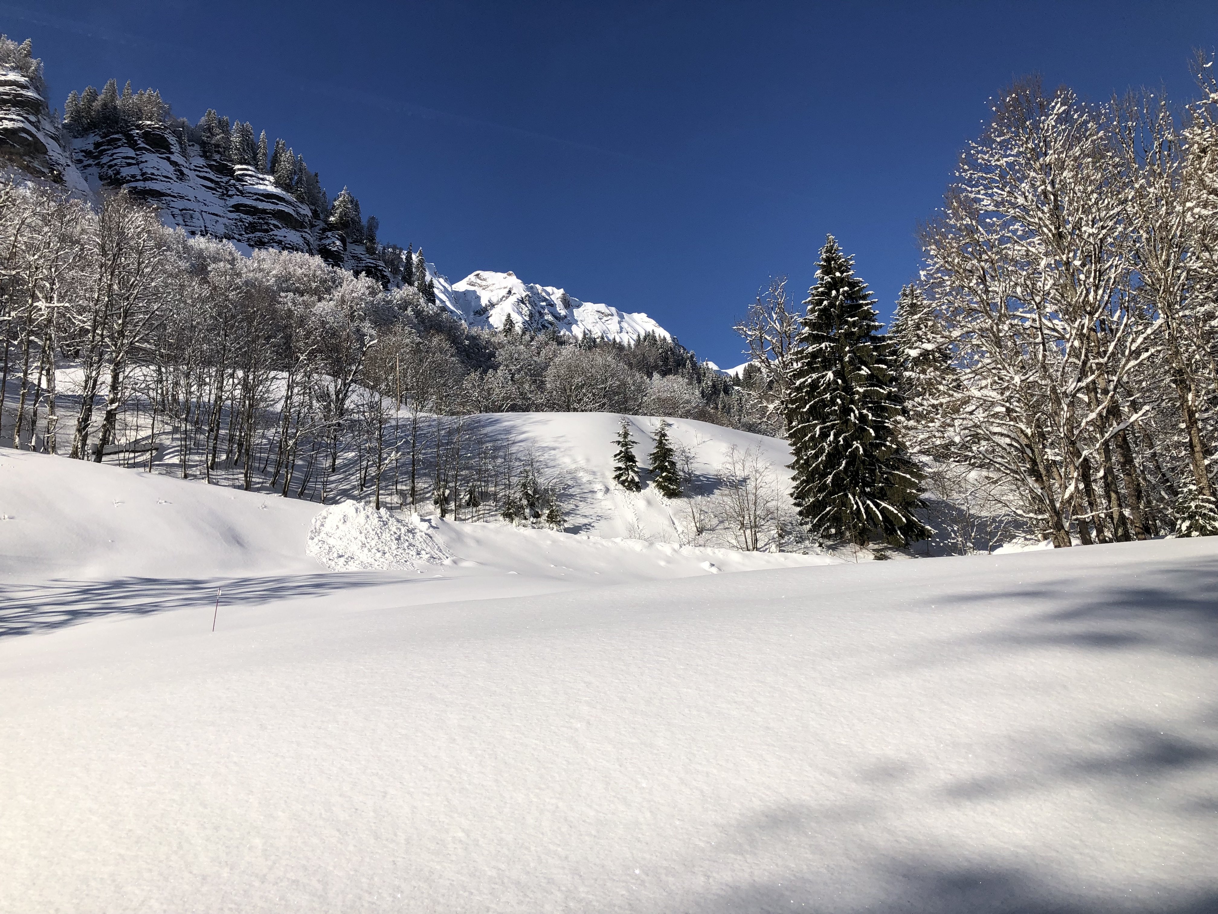 LE HAUTBOIS
