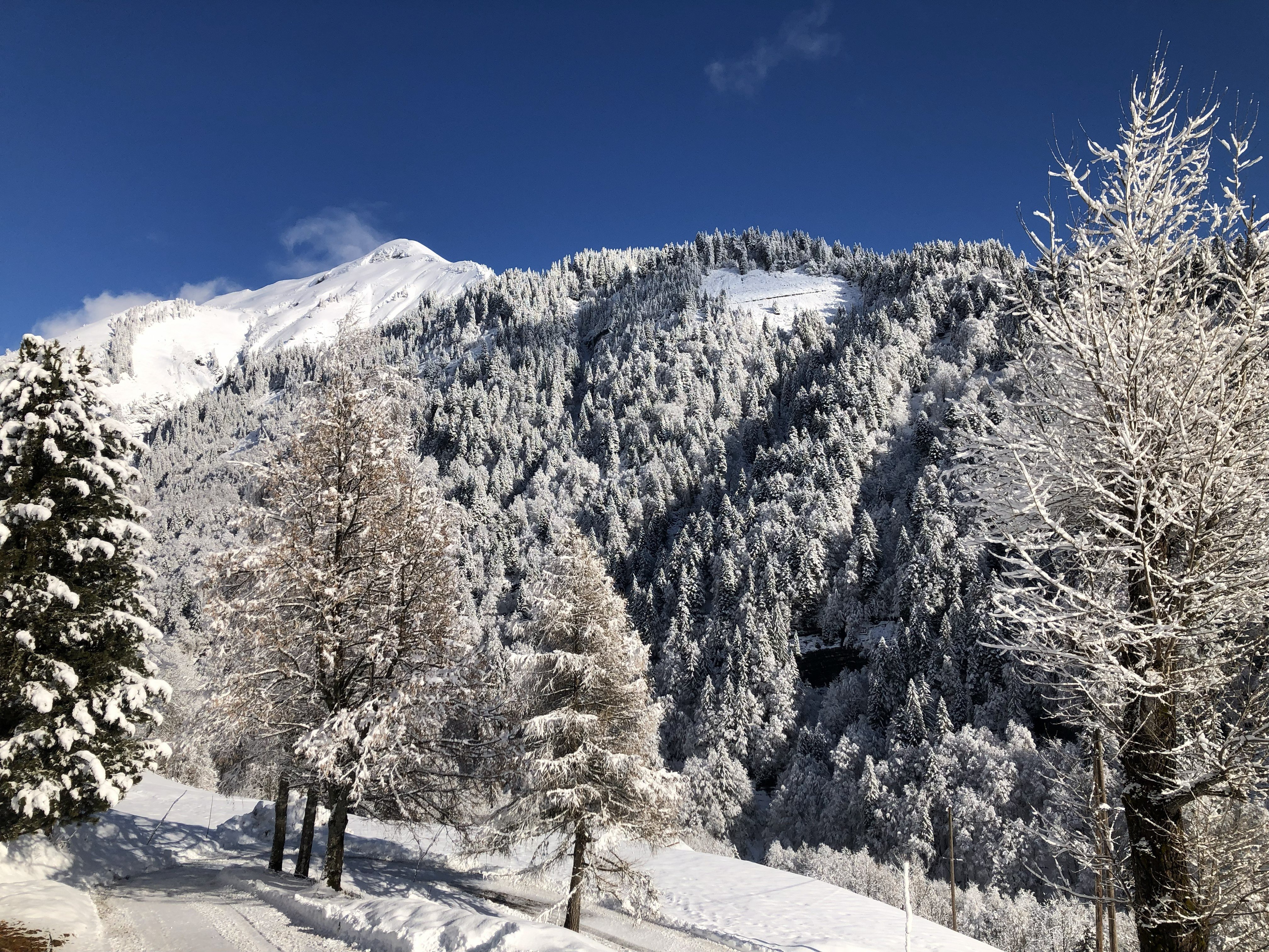 LE HAUTBOIS