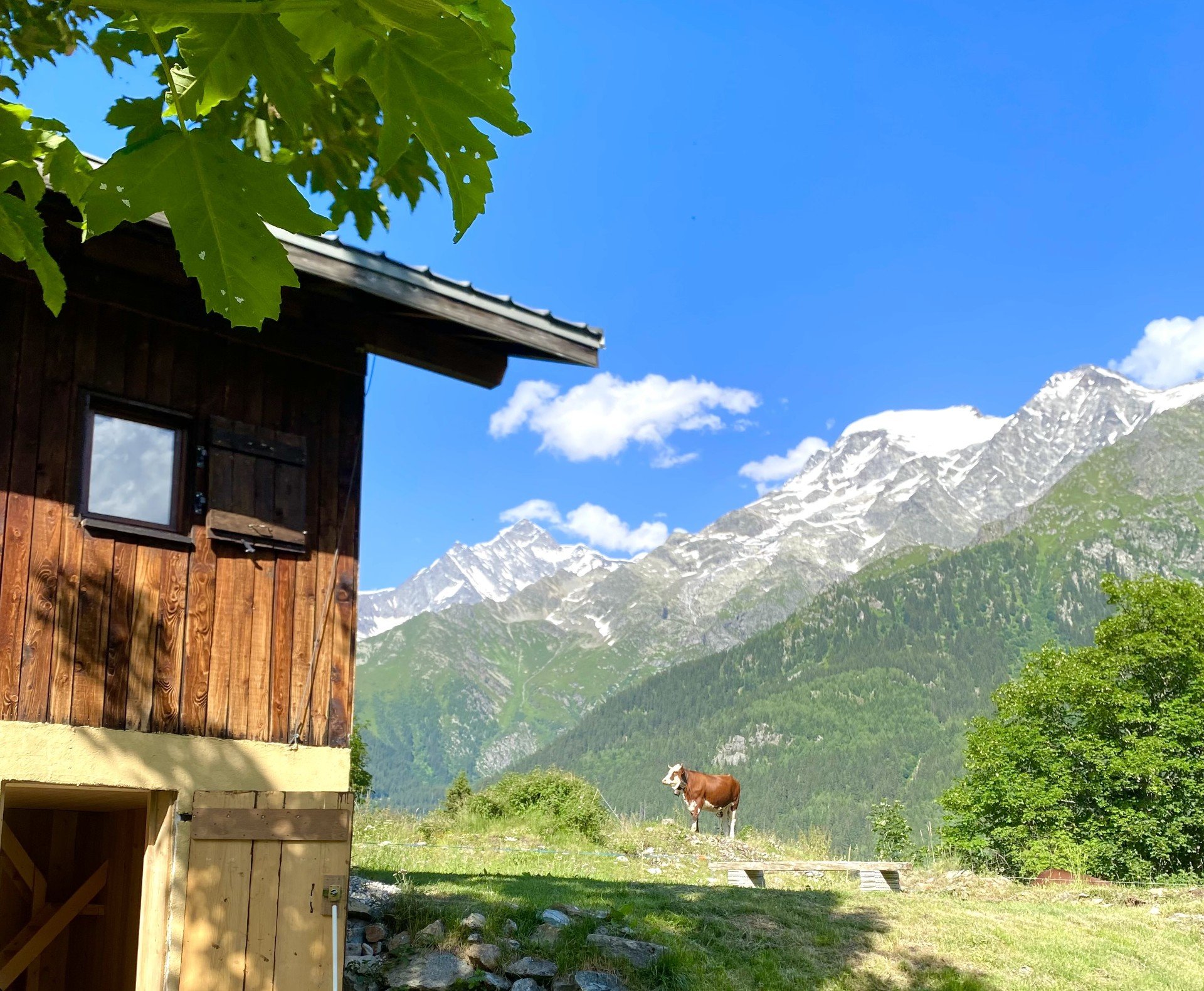Chalet de Montagne la Chaz – Vue Panoramique & Accès Direct Télécabine