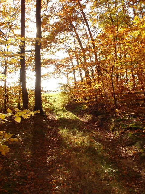 Gites de la Petite Perrure