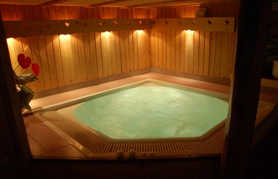 Chalet traditionnel - La vieille maison - 24 personnes / Sauna-Jacuzzi