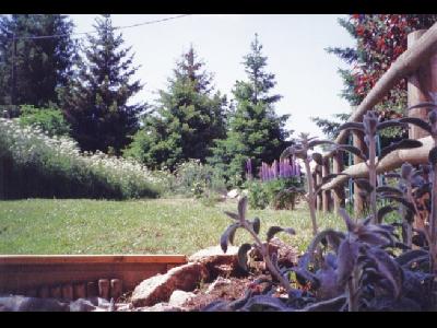 ......CHALET   PLEIN  SUD   ......    