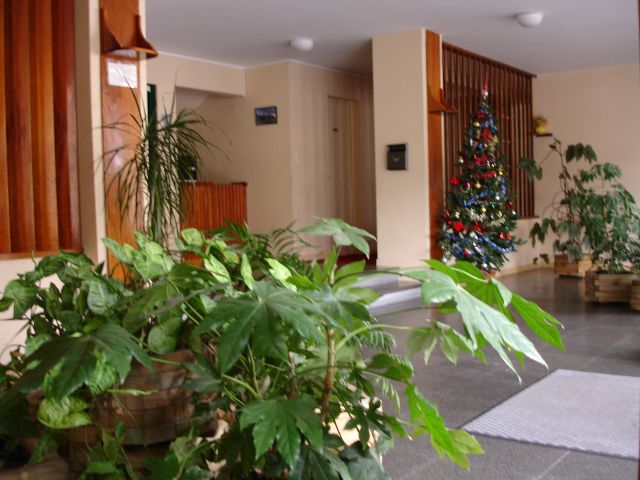 SUPERBE STUDIO A LA BOURBOULE