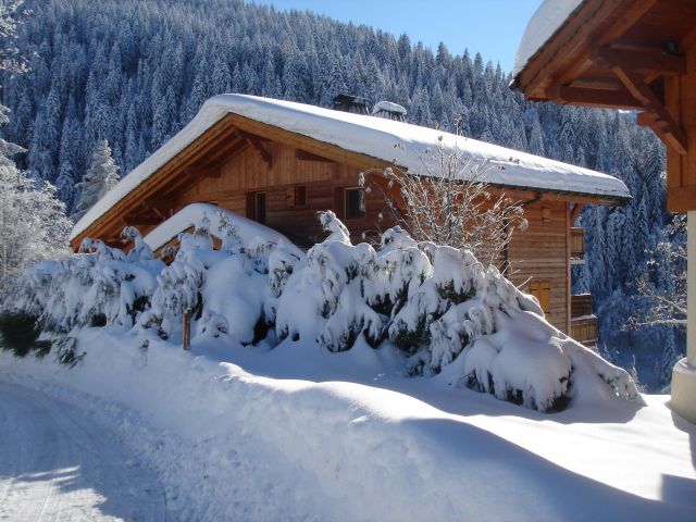 CHALET EPIPHANIE- CHARVIN-Dans la station -