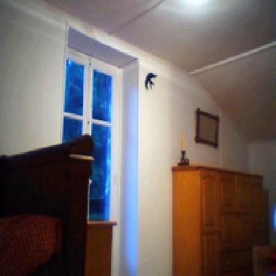 le Châtillon à Belval (Vosges) la maison au milieu de la forêt !