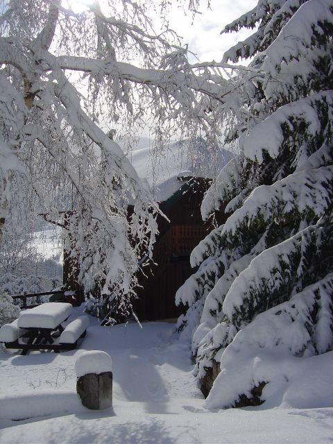 Joli chalet Savoyard