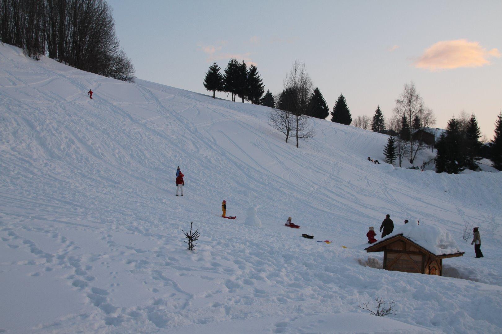 Les Chamois - Piscine chauffée (été) piste de luge (hiver)